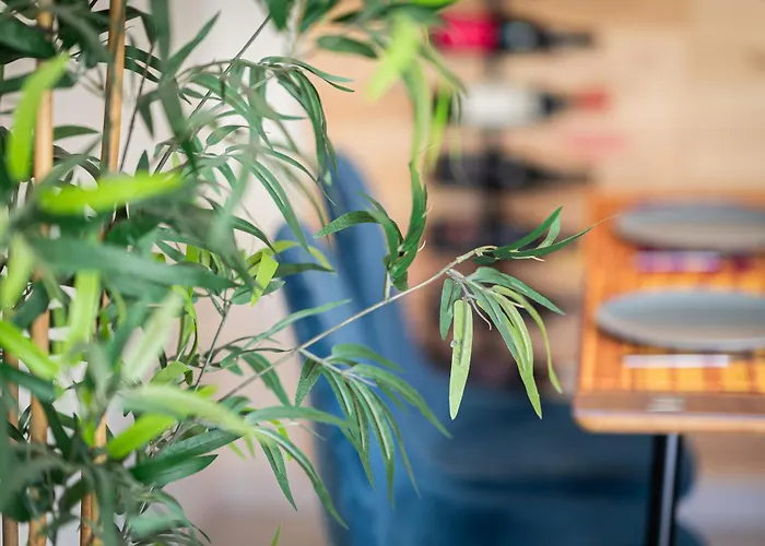 Le Jardin Des Consuls - T3 - Parking - Balcon Oriente Sud Διαμέρισμα